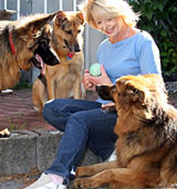I Unsung Heroes I Dog Champ Has Seen Untold Animal Cruelty Nz Herald