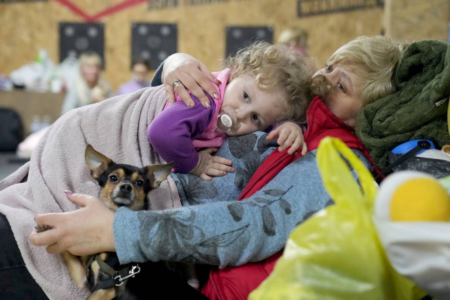 昨天，乌克兰马里乌波尔一栋建筑内的避难所里，一名妇女抱着一个孩子和一条狗。 照片/美联社