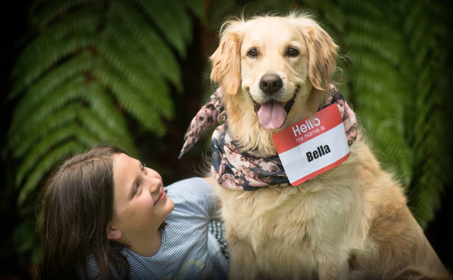 Max and bella dog sales