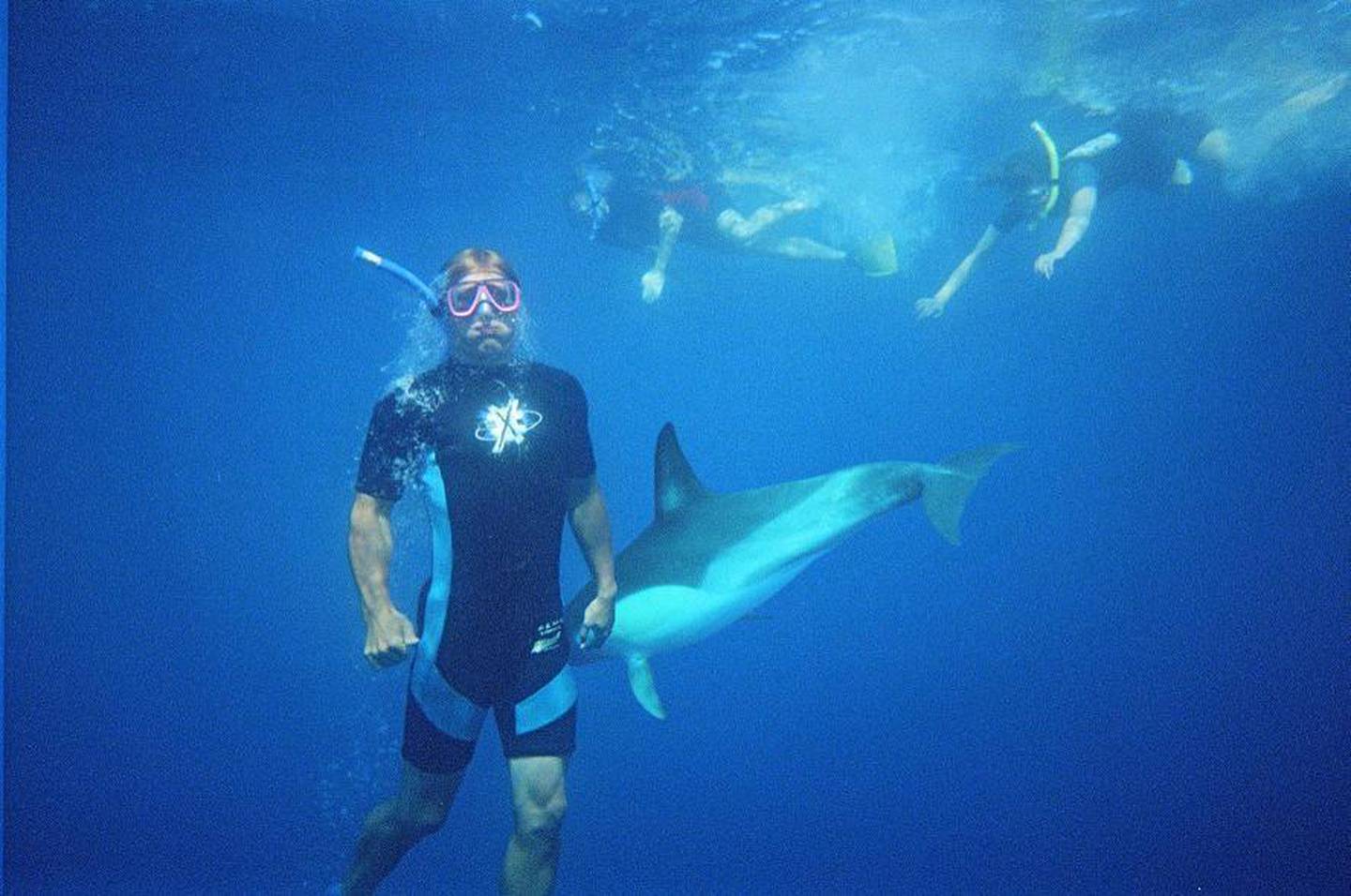 How did White Island's famous sea life fare in…