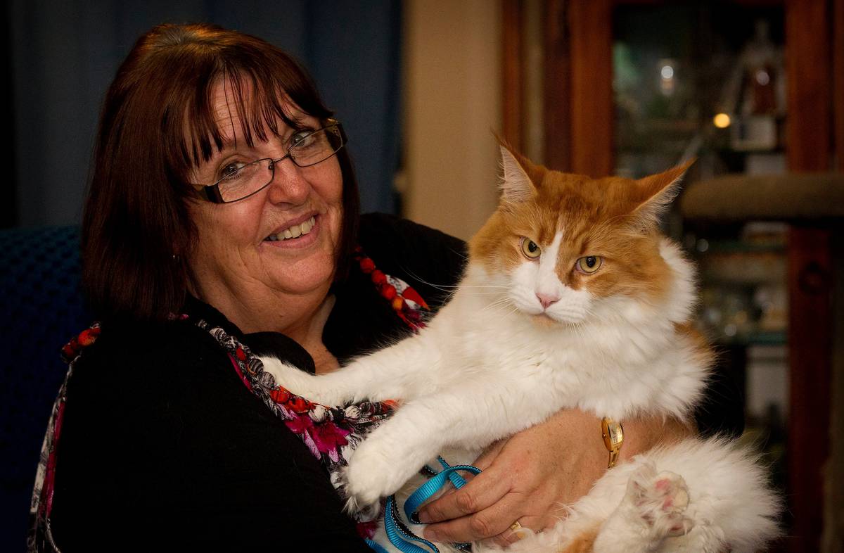 10kg cat just what doctor ordered NZ Herald