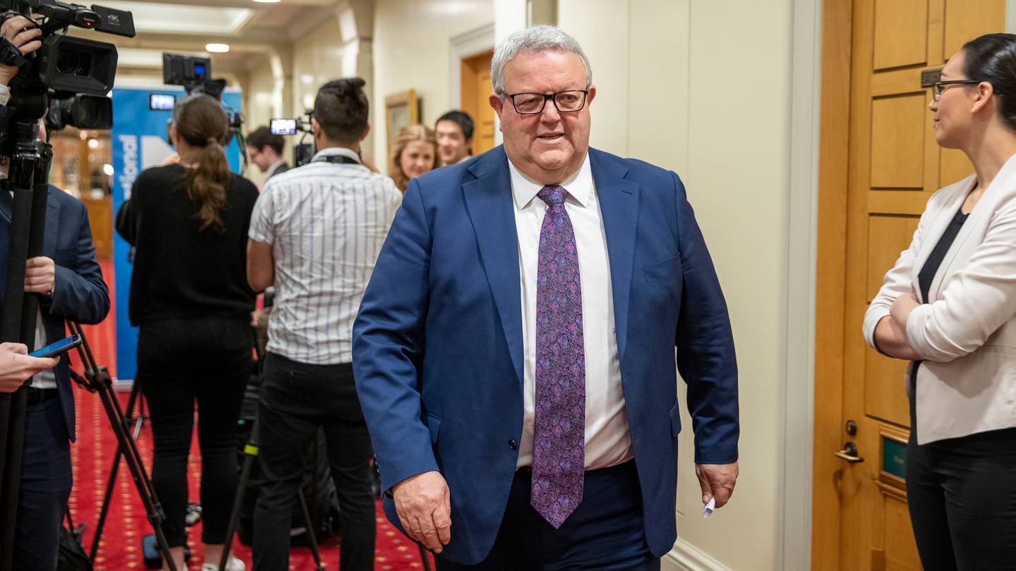 National Party MP Gerry Brownlee. Photo / Mark Mitchell