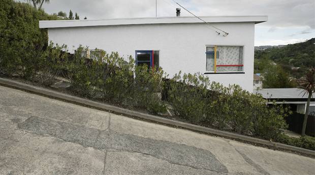 After an uphill battle, Dunedin's Baldwin St has reclaimed its world record. Photo / Supplied