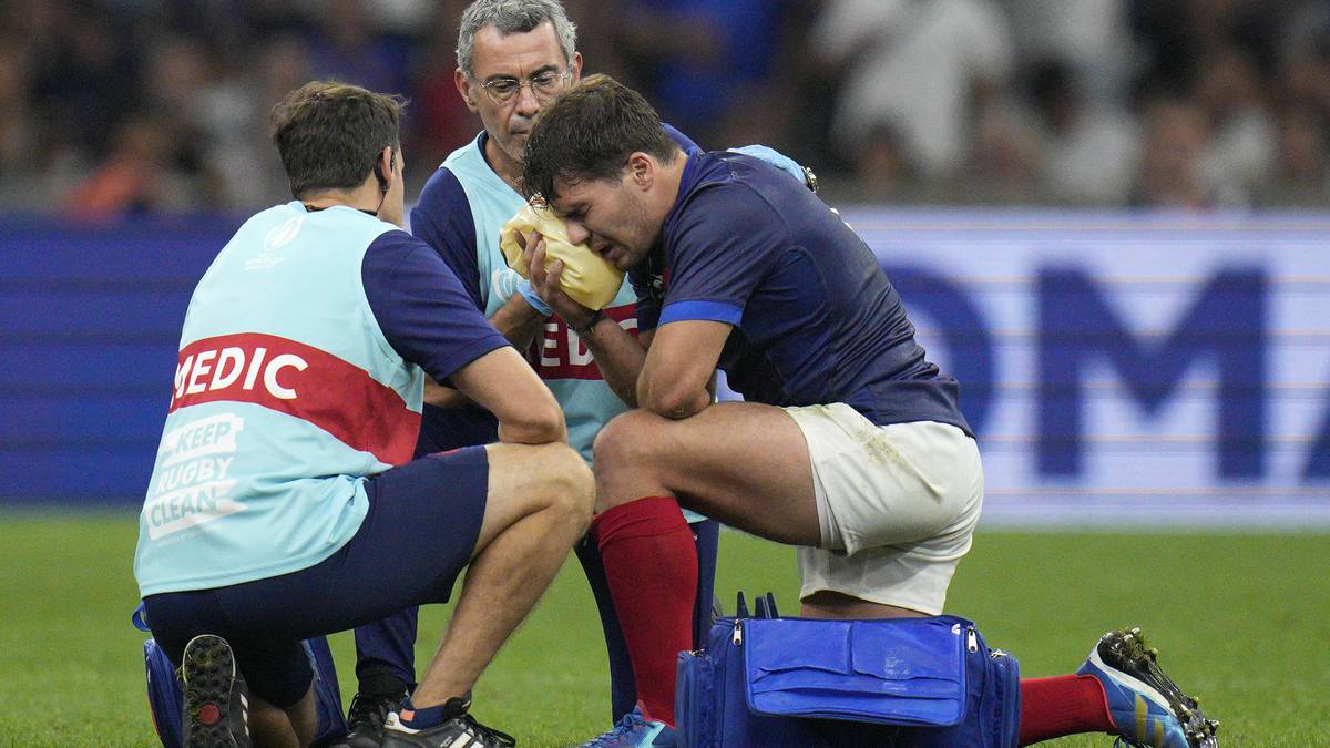 Coupe du monde de rugby 2023 : le Namibien Desails suspendu six matches pour un tacle dangereux sur le Français Dupont