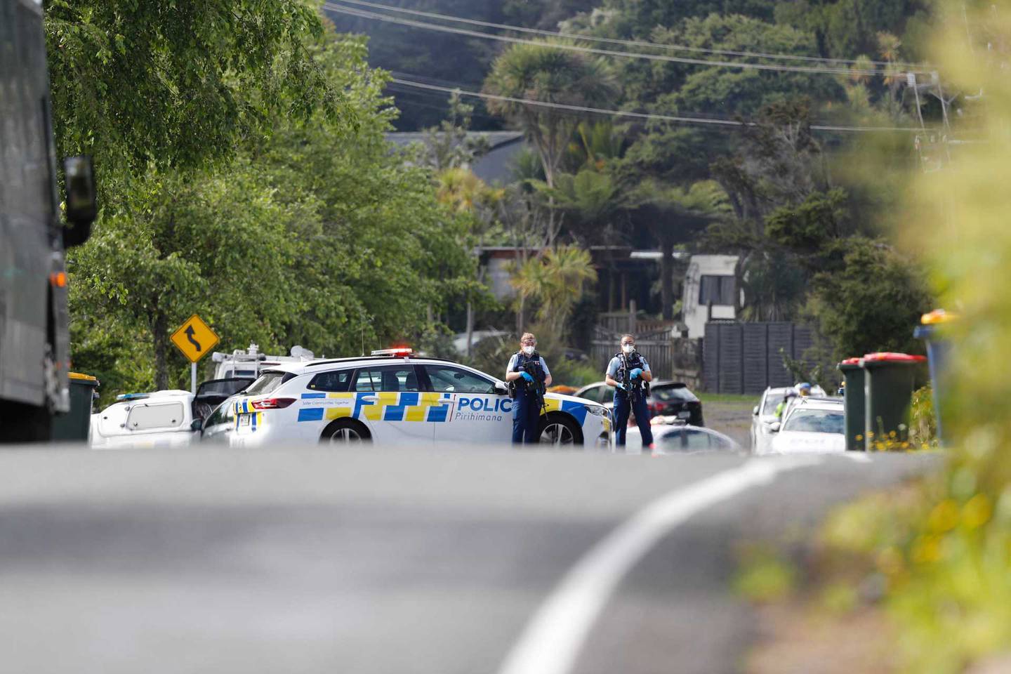 Armed police surrounded a house in Danube Lane. Photo / Dean Purcell