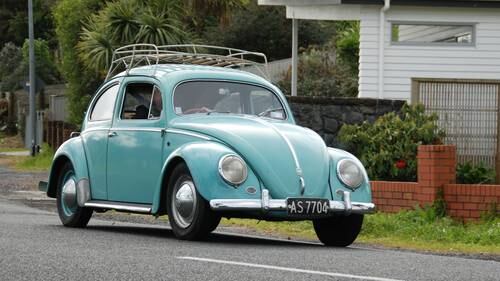 Bitten By The Beetle Bug Nz Herald