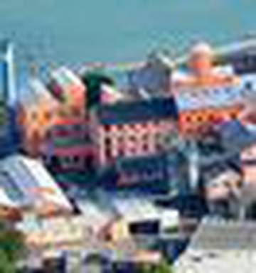 Singaporean Firm Swallows Chelsea Sugar Nz Herald