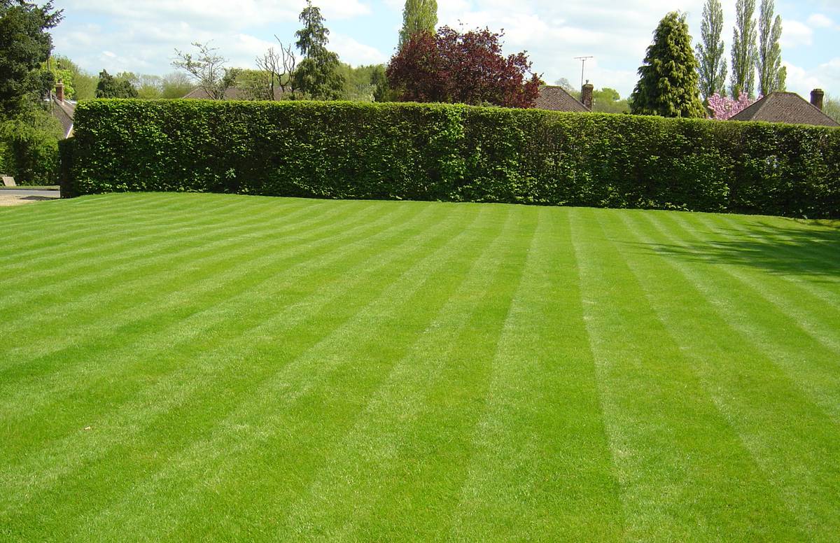 Keeping The Grass Greener Nz Herald