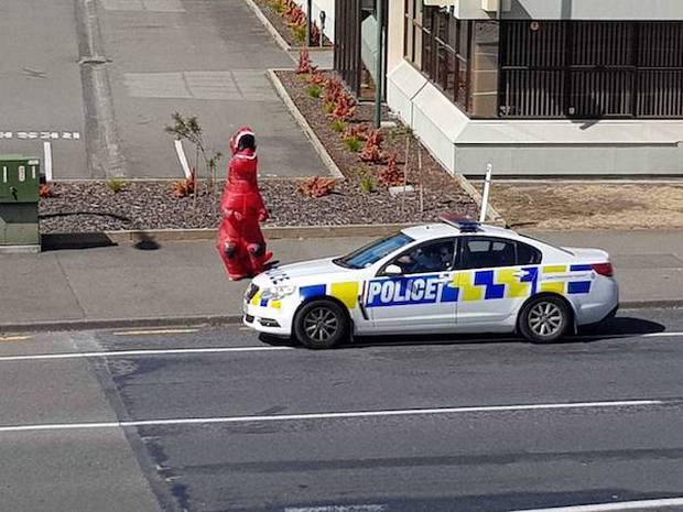 A dinosaur which appeared on the streets of Napier just hours after the start of the Covid-19 state of emergency was told to do what everyone was told: Stay Home. Photo / Facebook