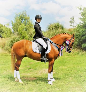 Equestrian Young Pony Rider Wins National Title Nz Herald