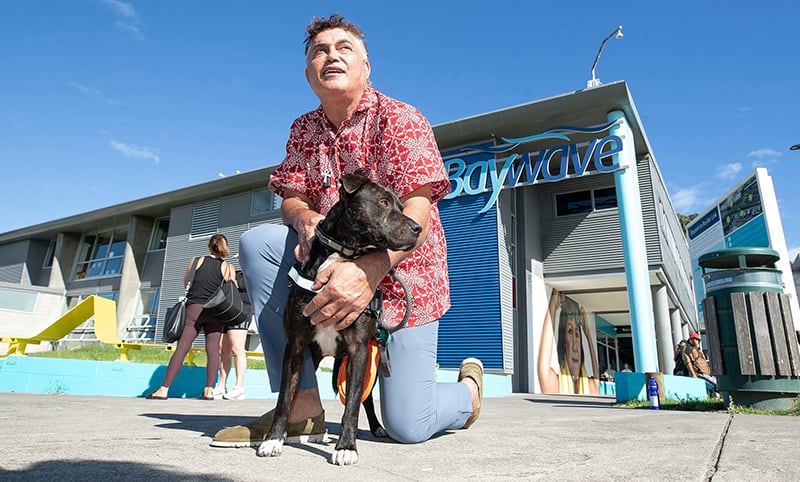 Tauranga support dog: Care worker wants the role of support dogs recognised after confusion