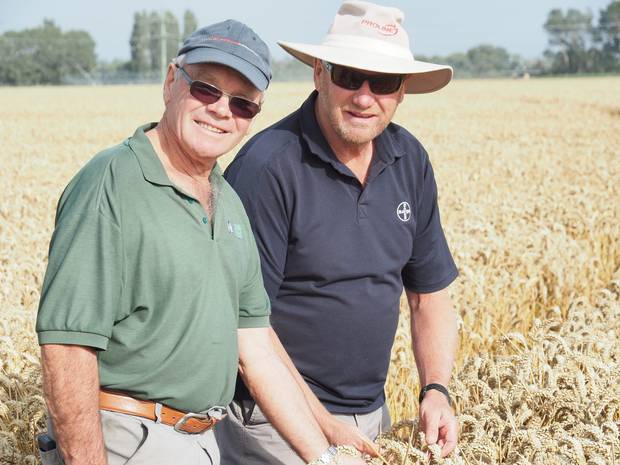 Top of the crops: Eric Watson (left) and Bayer Regional Business Manager for Mid and South Canterbury David Weith. Photo / Supplied