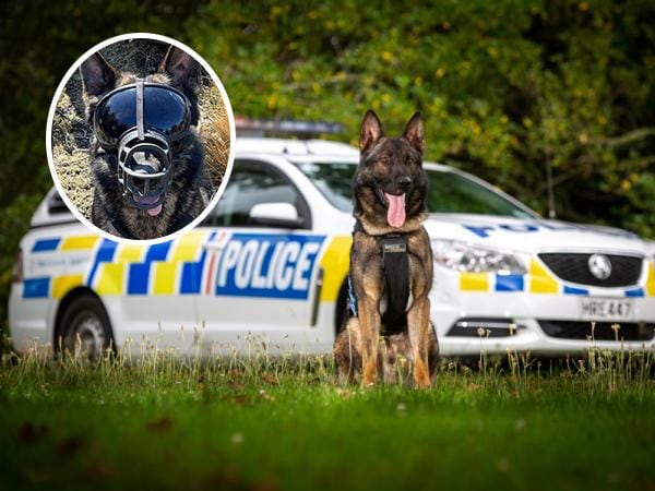 Nz police dogs cheap