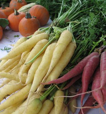 How Does Your Winter Garden Grow Nz Herald