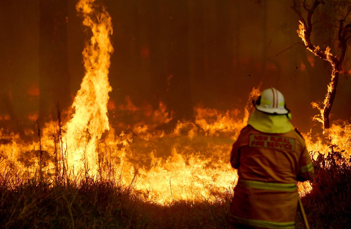 Have a fire. Fire Danger. Bushfire. Fire fuel.
