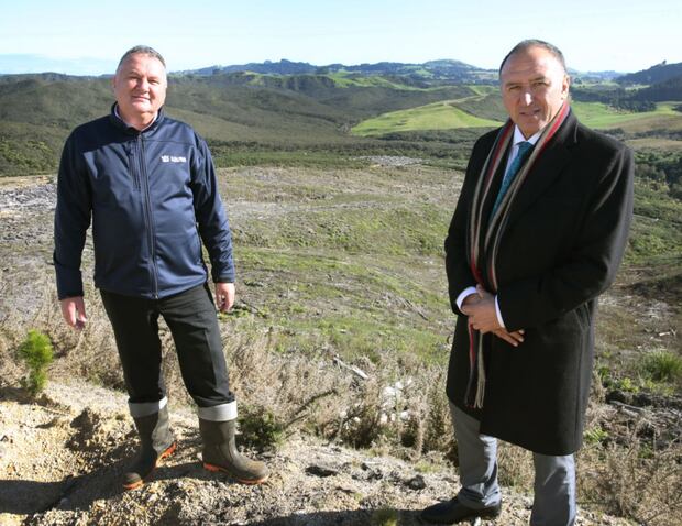 Forestry minister Shane Jones with Ngati Hine Forestry Trust chairman Pita Tipene on the day the Crown and iwi signed a deal to plant pine and manuka. Photo / John Stone