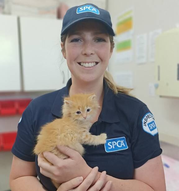New SPCA inspector combines her love of animals with fondness for living in  the region - NZ Herald
