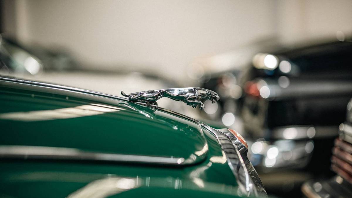 Classic car collection for auction at $1 reserve on Trade Me, buyers flock to Sunday Drive showroom