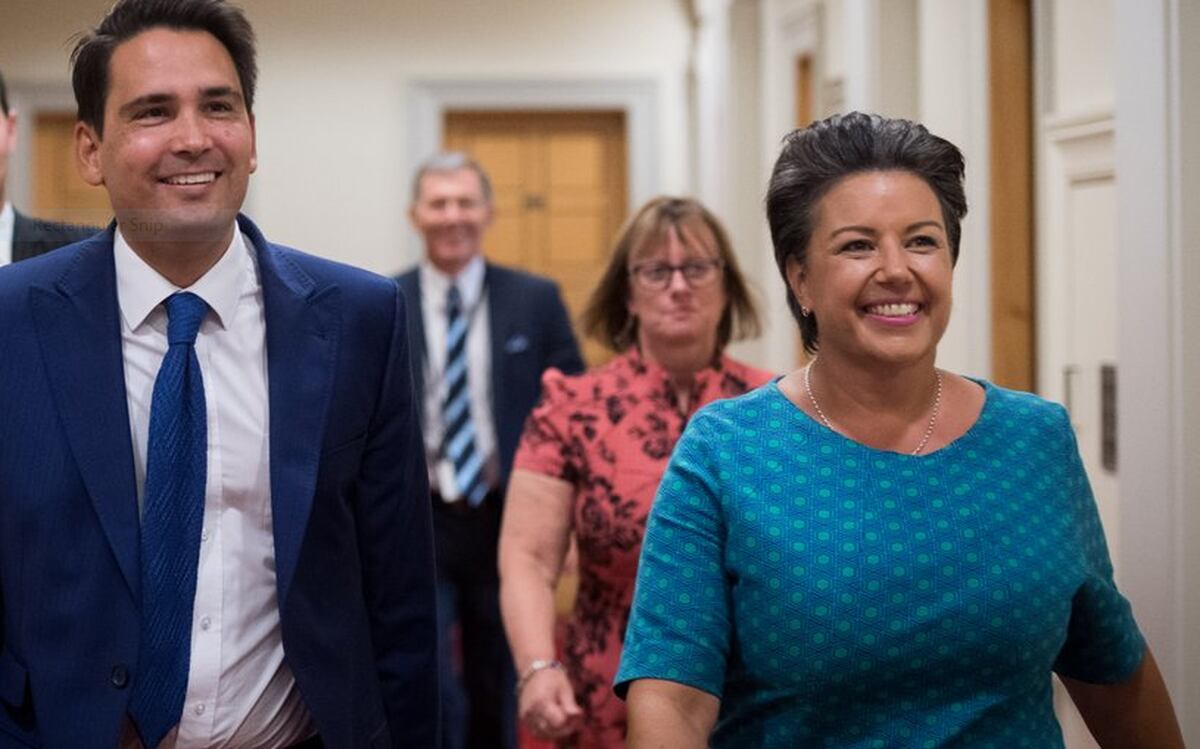 Live: Simon Bridges announced as new National Party leader