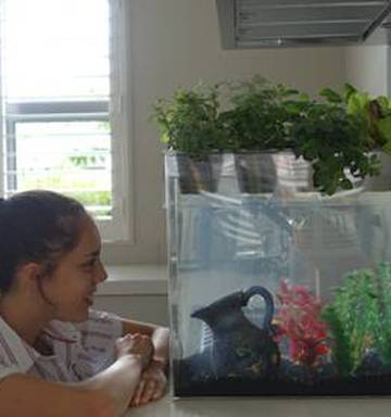 17 Year Old Grows Successful Aquaponics Business Nz Herald