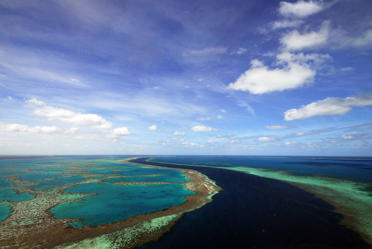 The Great Barrier Reef is in trouble. There are a whopping 45 reasons why