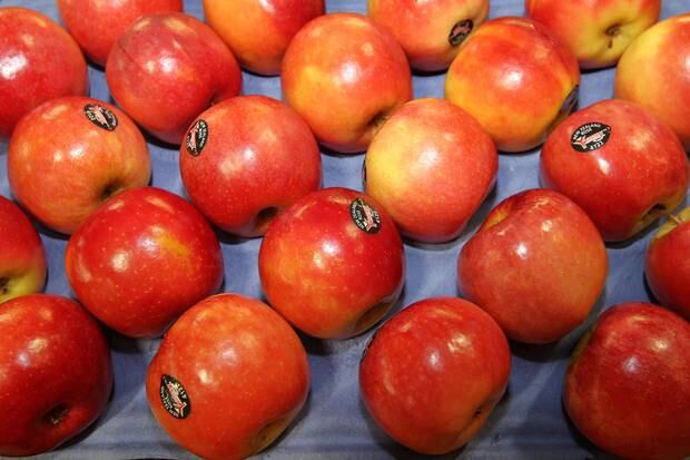 Yummy Fruit apples. Photo / File