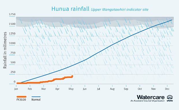 Rainfall in the Hunua Ranges. Image / Watercare