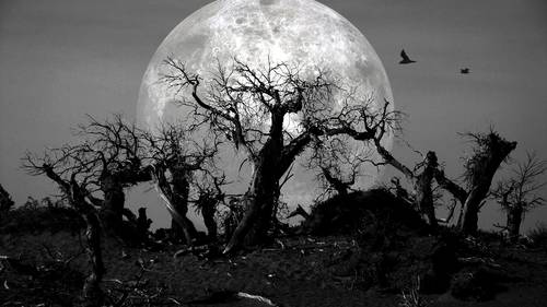 Bizarre Dreams That S Because They Get Weirder The Longer You