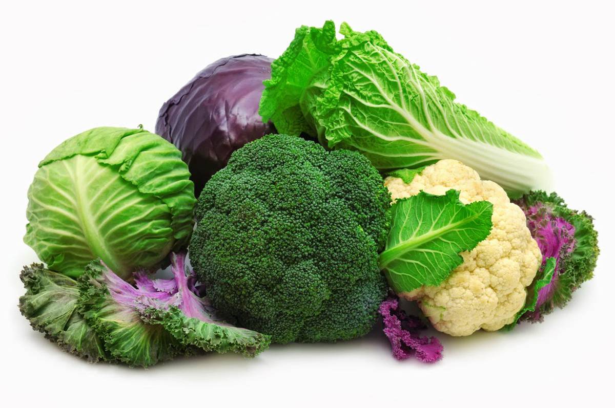 Gareth Carter Time To Plant Winter Vegetables Nz Herald
