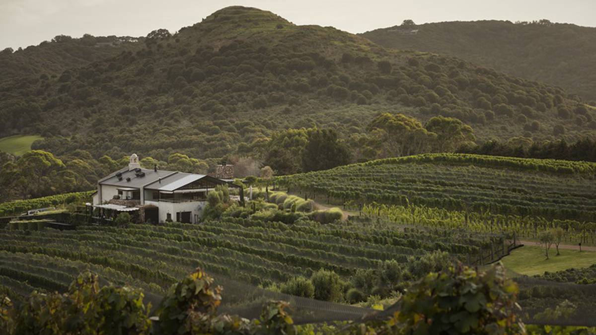 ‘The last few years have been tough’: Tantalus Vineyard on Waiheke Island for sale