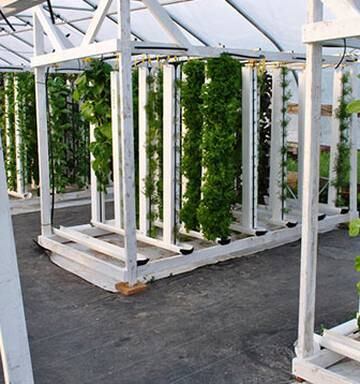 Opinion The Pros And Cons Of Vertical Farming Nz Herald