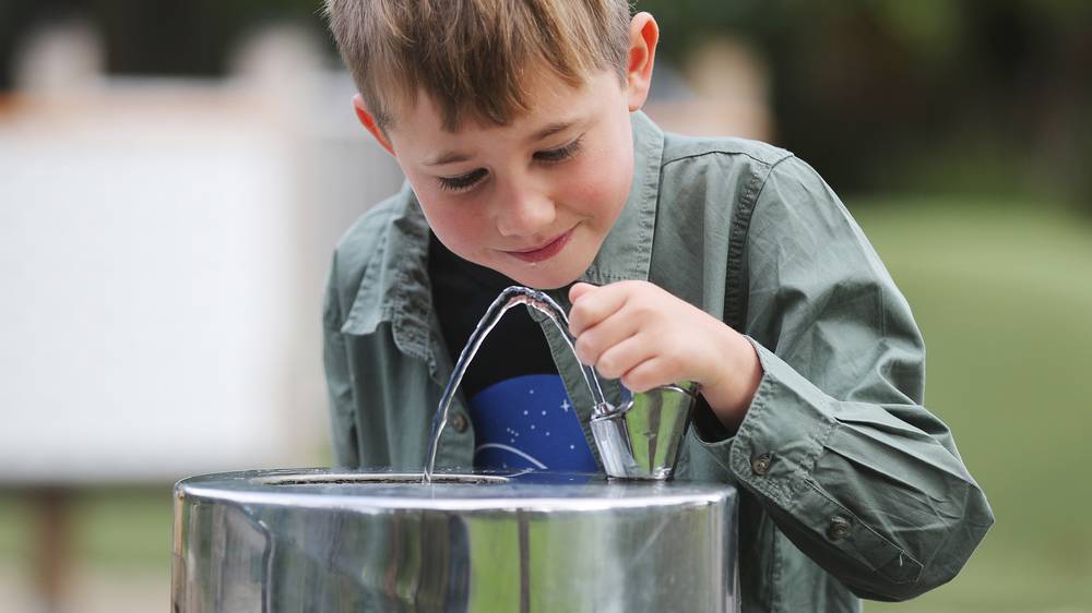 Filthy fountains Auckland's dirty public drinking fountains NZ Herald