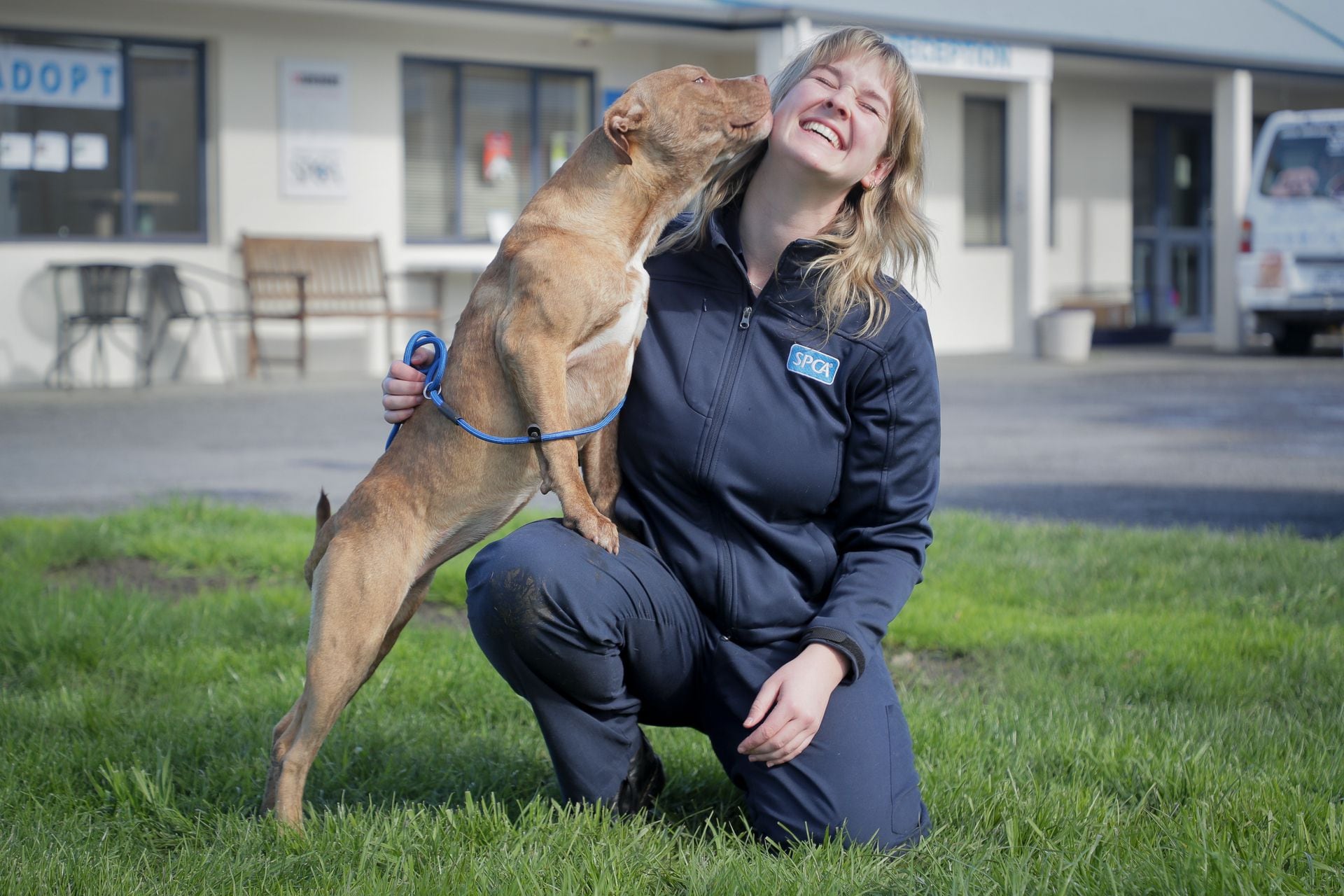 Pet regret: Animal rescue organisations 'urgently seeking fosters' amid influx in animals during cost of living crisis - NZ Herald Pet regret: Animal rescue organisations 'urgently seeking fosters' amid influx in animals during cost of living crisis - NZ Herald