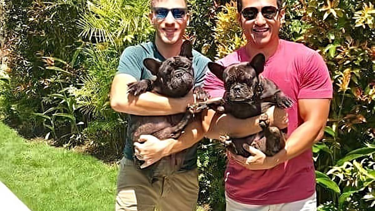 Pareja gasta tres años y $ 65,000 tratando de traer amados bulldogs franceses a Nueva Zelanda