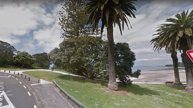 Two women were attacked on the walkway from Murrays Bay to Rothesay Bay, pictured, in October, while a third woman was attacked on a walking track in neighbouring Browns Bay on Friday.