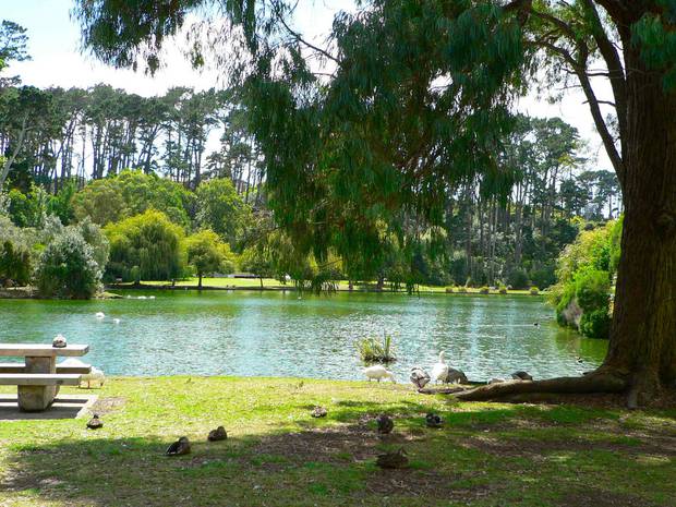 Travellers would be allowed to park at Western Springs Reserve if their caravan or campervan is self-contained. Photo / Supplied