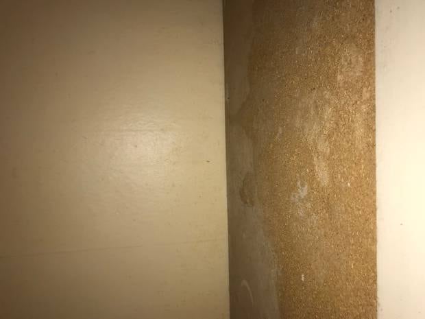 Dangerous levels of mould were found in the Mt Eden rental property. Photo / Supplied