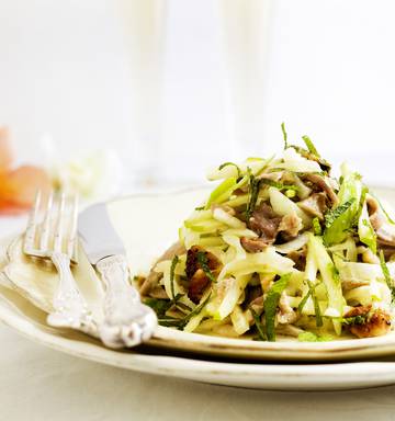 Recipe Roast Duck Fennel And Apple Salad Nz Herald