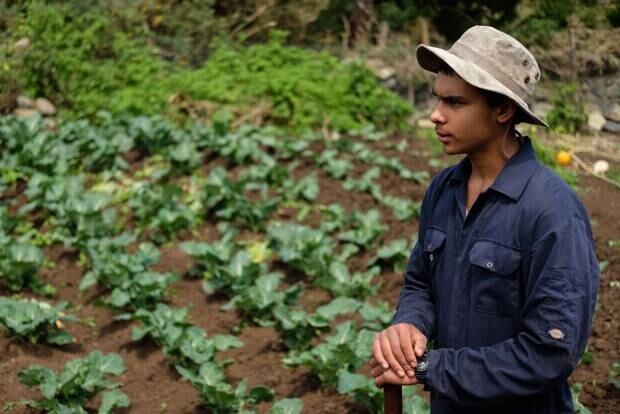The 17 million people who reside in the former homelands, a third of the population, are mostly subsistence farmers working tiny plots on communal land. Photo / Getty Images 