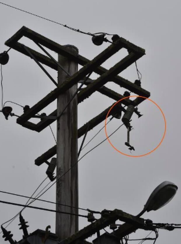 The power pole was left damaged by the lightning strike. Photo / Gregor Richardson