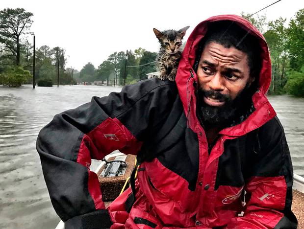 Robert Simmons Jr. and his kitten are rescued from floodwaters after Hurricane Florence dumped several inches of rain in the area overnight. Photo / AP