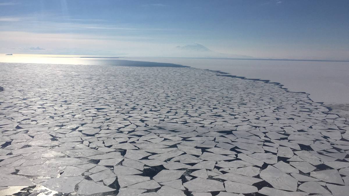 Wydarzenie Five Sigma: dlaczego utrata lodu morskiego na Antarktydzie martwi naukowców