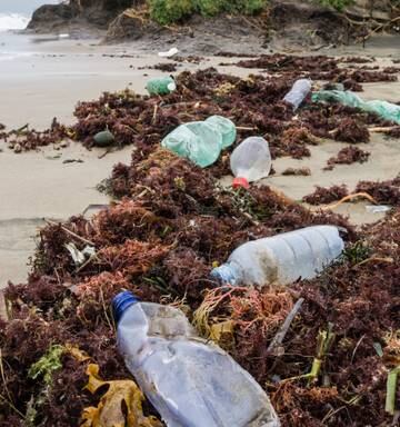 More Than 25 000kg Of Plastic Littered In Nz Daily Nz Herald