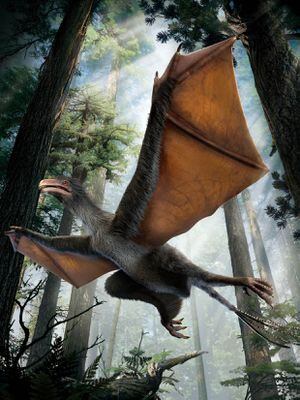 Pterodactyls And Other 'Flying Dinosaurs' Were Actually Di-not-saurs