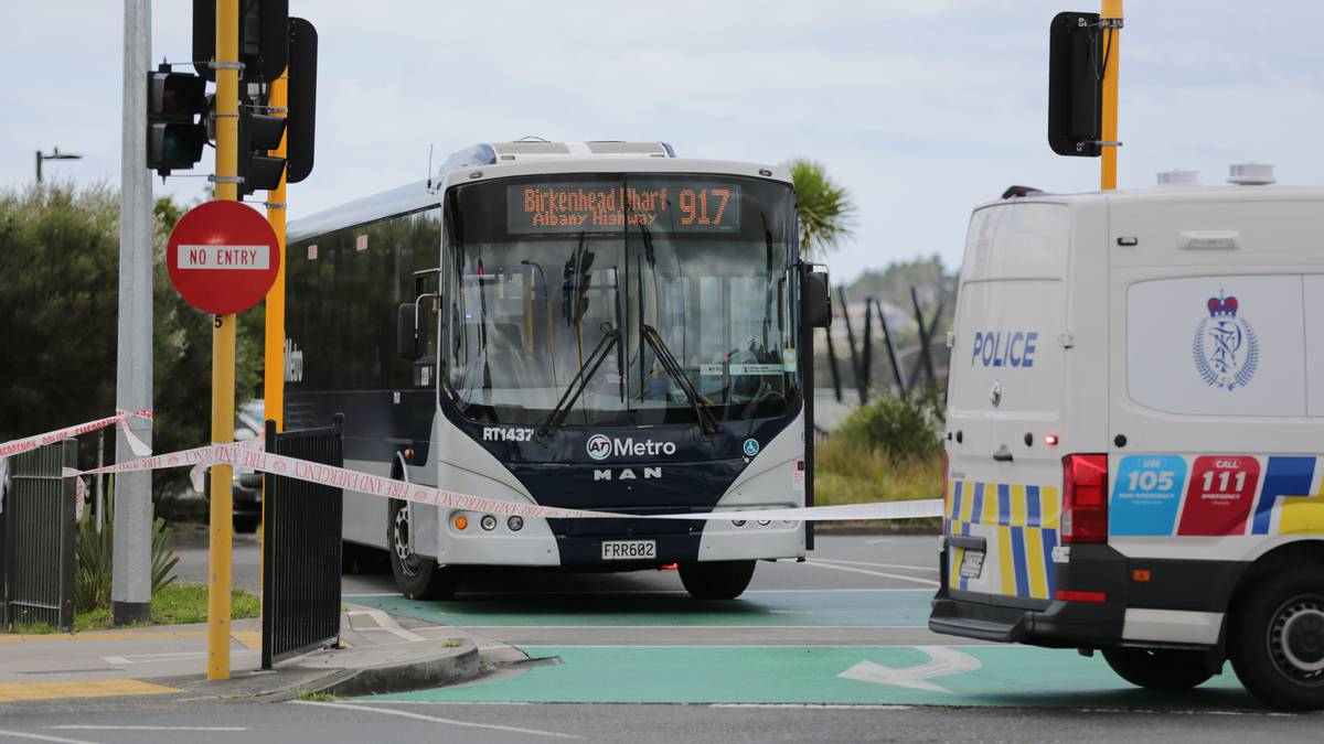 Albany bus station death: Pedestrian ‘run over’ by bus while crossing the road