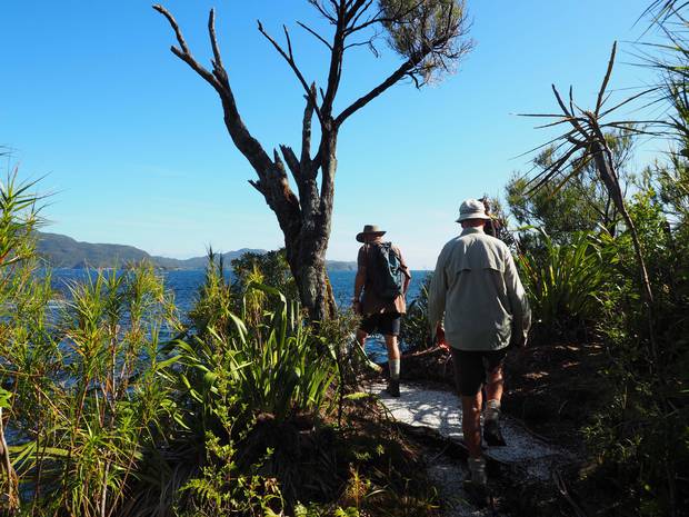 Pure Salt's Fiordland charters give guests the chance to go off-grid, with hiking, snorkelling, diving, and conservation activities. Photo / Supplied