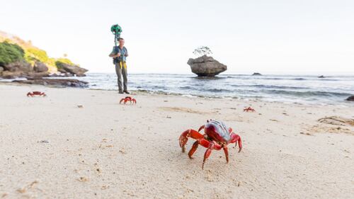 Google Crab View Christmas Island Covered By A Tide Of Red Crabs Nz Herald