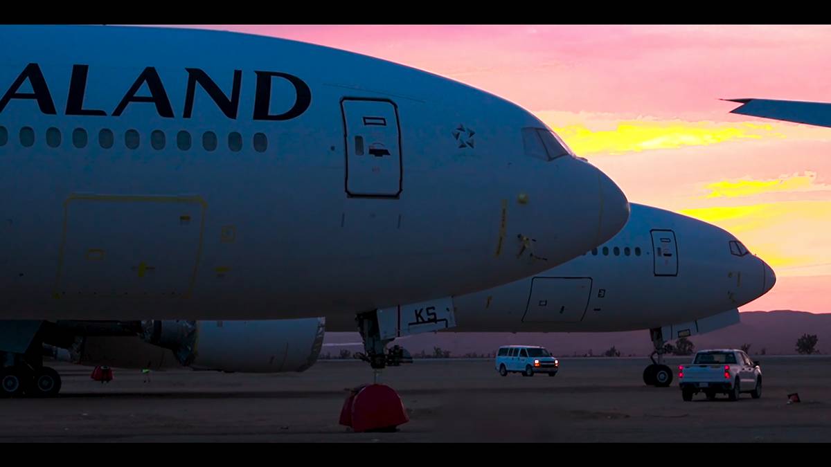 Odwołanie Air New Zealand i „kompleksowa dzierżawa” wywołują gniew stowarzyszenia stewardes