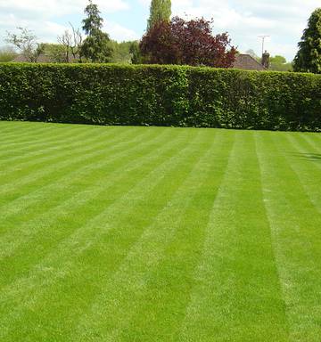 Number 8 Weedkiller Weed Control Mitre 10
