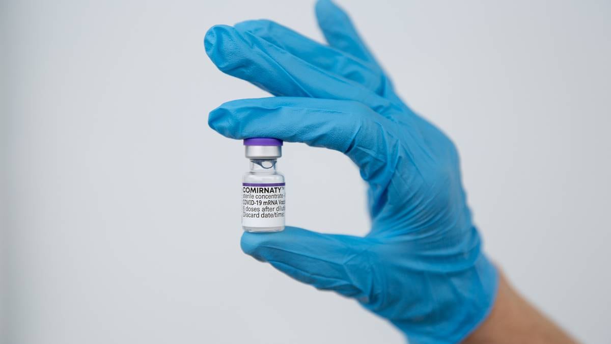 Nie można wykluczyć czwartej śmierci kiwi jako związku ze szczepionką Covid-19 firmy Pfizer, mówią władze służby zdrowia